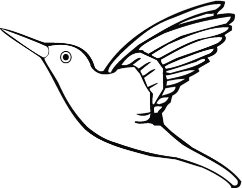 Flying Hummingbird Coloring Page